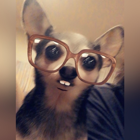 Bear Bear says Hello! - Picture 1 of 1